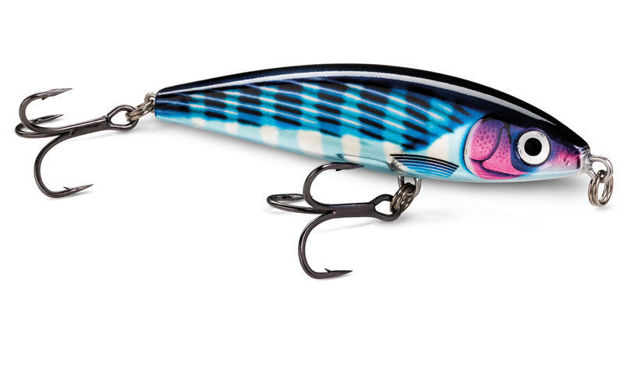 Bild von RAPALA X-RapMagnum30