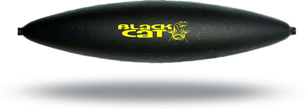 Bild von Black Cat Unterwasserpose