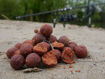 Bild von Aquaticbaits Squid Red HNV Boilies