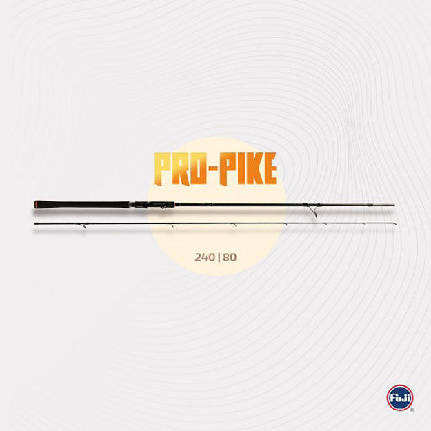 Bild von Zeck Pro-Pike 240cm 80g                                                   