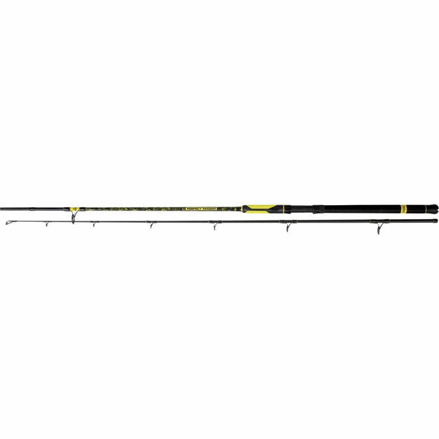 Bild von Black Cat Perfect Passion Spin 2,70m 60-150g 