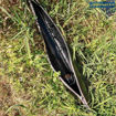 Bild von Rod Bag Pro 182                                                                                      