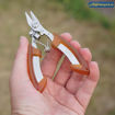 Bild von Braid Scissors Predator                                                                              