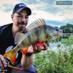 Bild von Zeck Jig Spinner Mini 4g