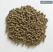 Bild von Rapid pellets - Turbo (5kg | 12mm)   