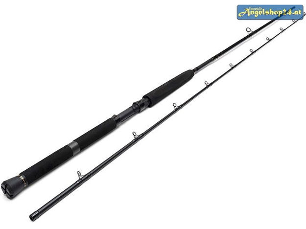 Bild von W3 Predator Trolling 2nd 8'6"/255cm H 60-180g 2s 