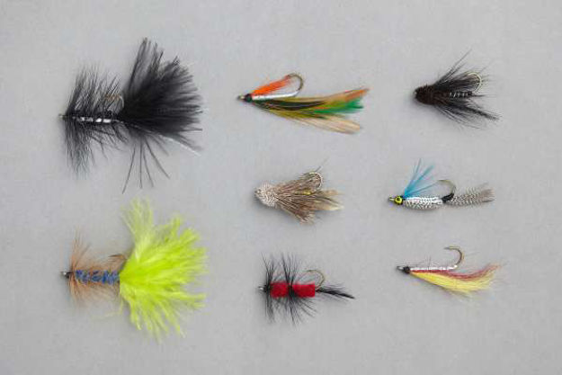 Bild von Balzer Edition Fly Forellen Streamer-Sortiment 