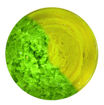 Bild von TROUT MASTER PRO PASTE