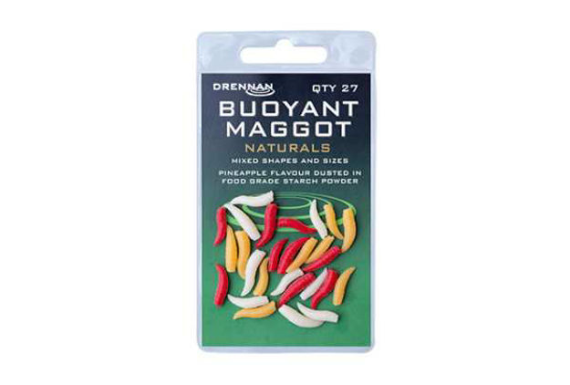 Bild von Maggot natural                                                                                      