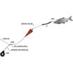 Bild von Black Cat 2,00m Baitfish Tree Rig 