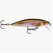 Bild von RAPALA X-RAP COUNTDOWN XRCD05