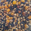 Bild von Partikel Mix 3x5Kg gekocht 