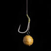 Bild von Floating Tigernut