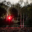 Bild von Boat Life Beacon Lite 