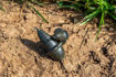 Bild von FEATURE FINDER LEADS 45G 