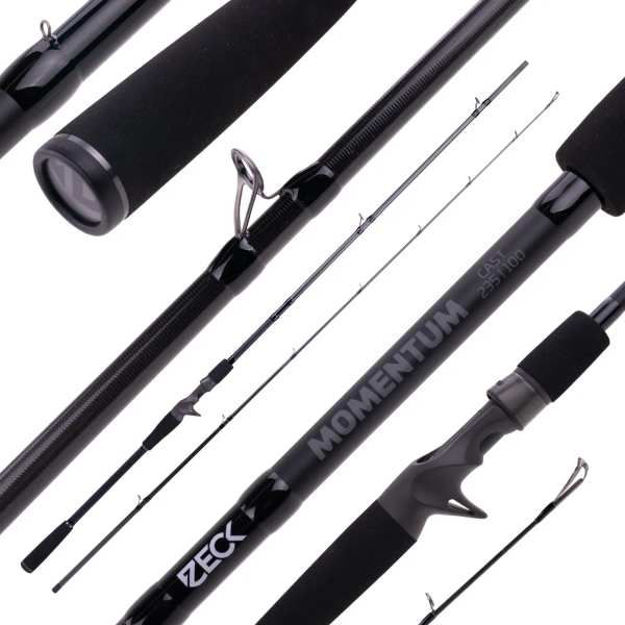 Bild von Momentum Cast 235cm 30-100g 