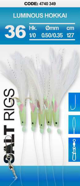 Bild von 36 SALT RIG LUMINOUS HOKKAI #1/0         