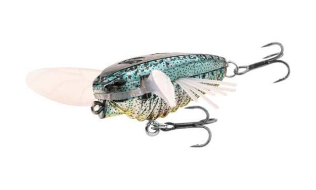 Bild von ZUK 35 SPOTTED BLUE                      