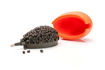 Bild von Method Pellets Black Halibut 