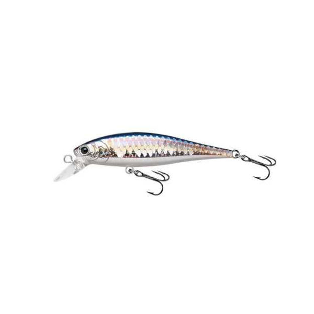 Bild von Pointer 65 MS American Shad 