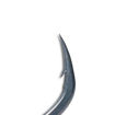 Bild von Nash Claw X