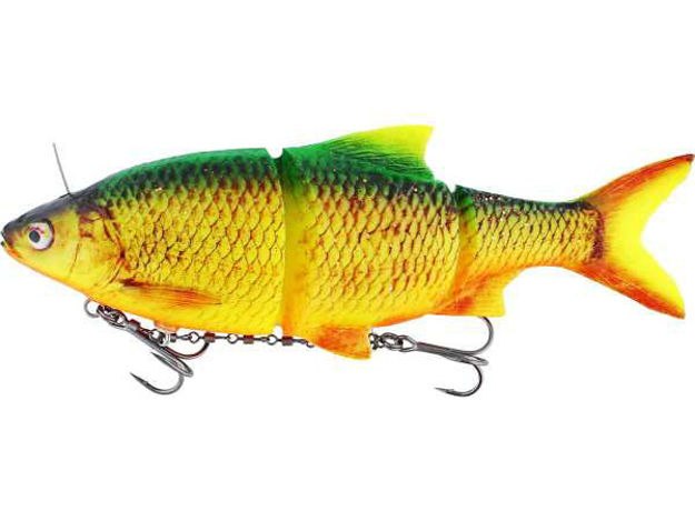Bild von RICKY THE ROACH INL. 25CM 210G SINK.FIRETIGER RUDD 