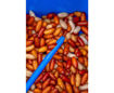 Bild von Bander/Disgorger Twin Pack 