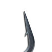 Bild von Nash Curve Shank