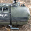 Bild von Zeck Belly Cat 