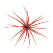 Bild von Hideup Coike 17mm