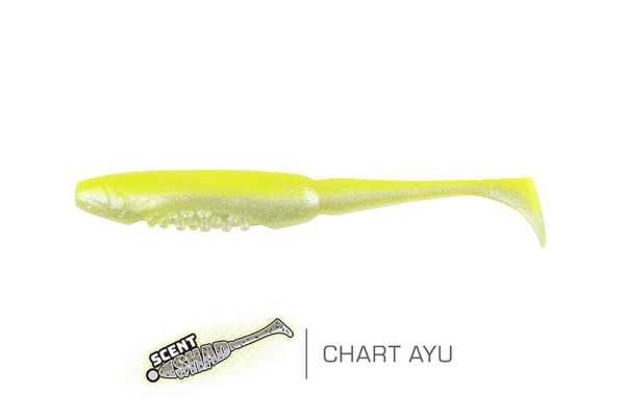 Bild von Scent S 13cm Chart AYU 35