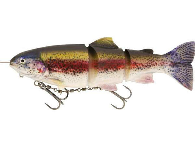 Bild von TommyTheTrout Inline 20cm 100g SlowSink RainbTrout 