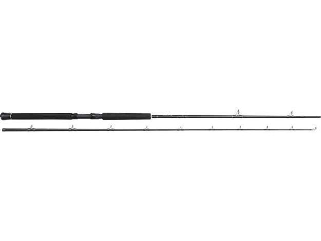 Bild von W2 PREDATOR TROLLING 255cm H 60-180g 2sec. 