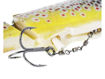Bild von Tommy the Trout 25cm 205g Slow Sink RainbTrout 