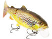 Bild von Tommy the Trout 25cm 205g Slow Sink RainbTrout 