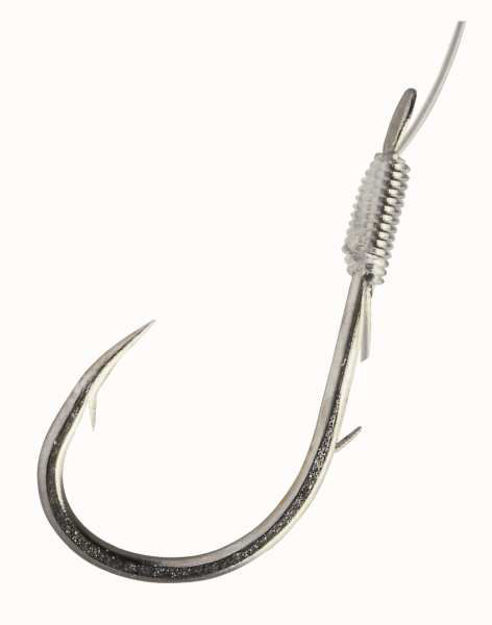 Bild von Camtec Speci Forelle/Sbiro silber 140cm #8 