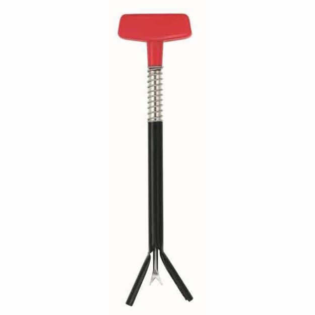 Bild von Balzer Aal Töter                                                   