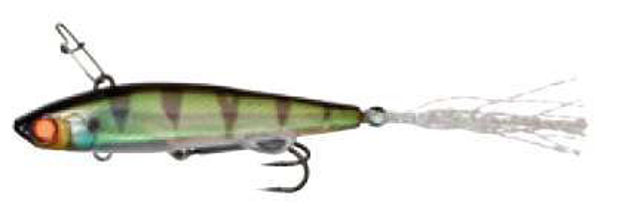 Bild von LIVE DARTER MAGIC GREEN PERCH            