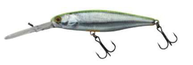 Bild von DD SQUIRREL 79 SP RT VISIBLE ROACH       