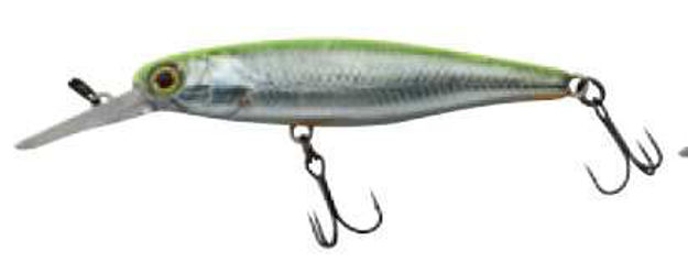 Bild von SQUIRREL 61 SP RT VISIBLE ROACH          