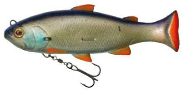 Bild von VIVIDUS ROACH                            