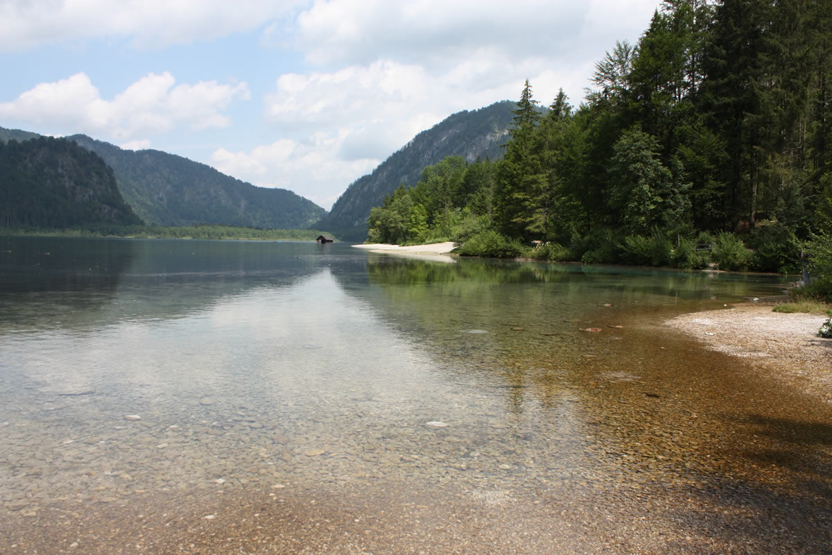 Bild für Kategorie Angelsets