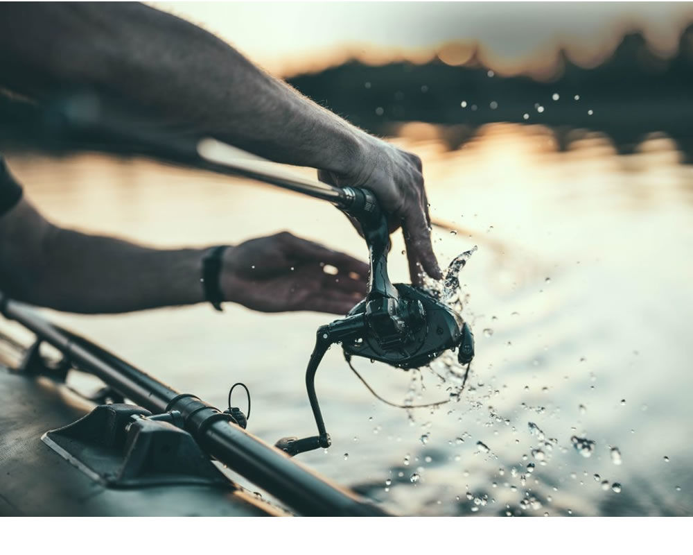 Bild für Kategorie Karpfenrollen