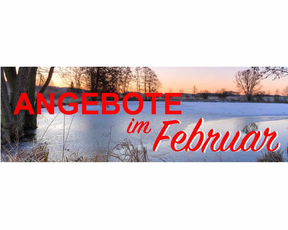 Bild für Kategorie Angebote im Februar