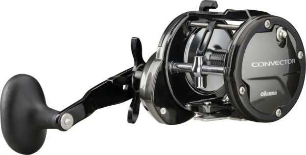 Bild von CONVECTOR LINE COUNTER 20DLB 