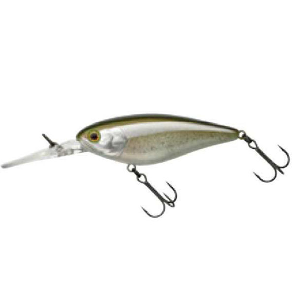 Bild von ILLEX FLAT SDD SQUIRREL 79 SP