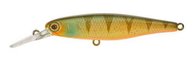 Bild von ILLEX SQUIRREL 61 SP