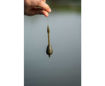 Bild von ICS SLOW SINKER 10g 