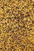 Bild von METHOD MIX CLUB SERIES DYNAMIC CORN 800g 
