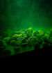 Bild von Aquatic Baits Baitcloud Complex 125ml